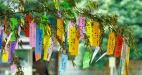 http-::yokosojapan.co.jp:tanabata-time: